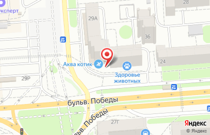 Клининговая компания Экодом в Коминтерновском районе на карте