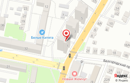 Совет ветеранов Восточного округа г. Белгорода на карте