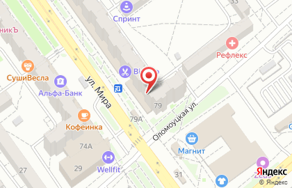 Ветеринарная аптека доктора Чулковой на улице Мира на карте