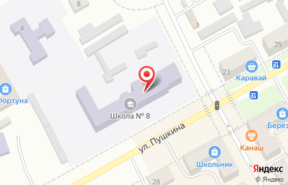 Средняя общеобразовательная школа №8 на улице Пушкина на карте