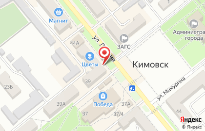 Магазин тканей и штор и штор на улице Ленина на карте