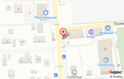 Рыбная лавка на Центральной улице на карте