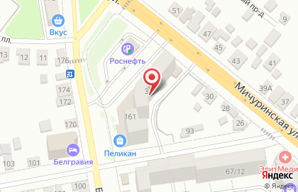 Торговая компания Частный дом на Мичуринской улице на карте