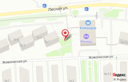 Удачный, микрорайон, ООО ИНКОМ-Недвижимость-Красноярск на Живописной улице на карте