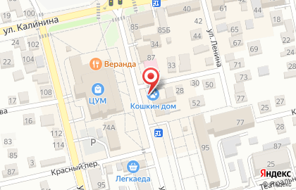 Зоомагазин Кошкин Дом на улице Курчатова на карте