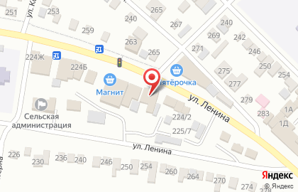 Алкомаркет Тамада на улице Ленина на карте