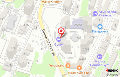 ООО Гео-Центр на Виноградной улице на карте