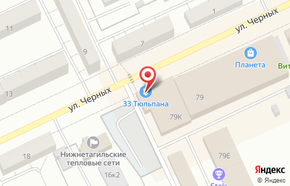 Цветочный магазин 33 тюльпана на Красноармейской улице на карте