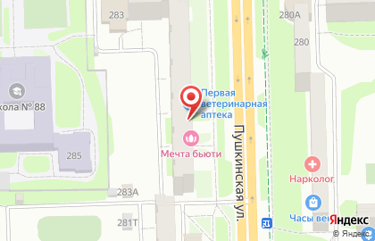 Массажный салон Мечта Бьюти на Пушкинской улице на карте