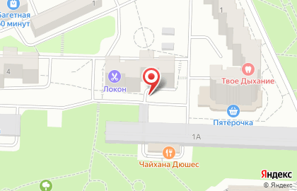 Диана п. п. на Тушинской (ул Школьная) на карте