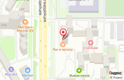 Сеть магазинов разливного пива Пивоварни Денисова на улице Молодогвардейцев на карте