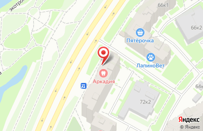 Клиника Аркадия на Шуваловском проспекте на карте