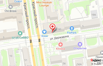Многопрофильная компания Вилон на Красном проспекте на карте
