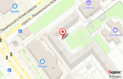 Кит на проспекте Ленинского Комсомола на карте