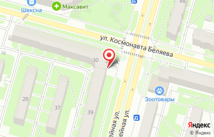 Магазин у дома Бристоль на улице Космонавта Беляева на карте