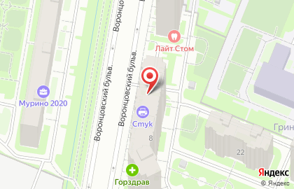 Йога для беременных с Доулой Ориной в Мурино на карте