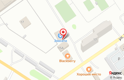 Зоомагазин и клиника ZooCity на улице Докучаева на карте