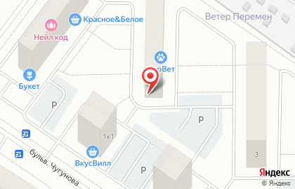 Строймаркет в Санкт-Петербурге на карте