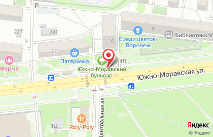 Киоск по продаже фруктов и овощей в Воронеже на карте