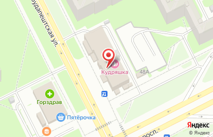 ТЦ Нева на Будапештской улице на карте