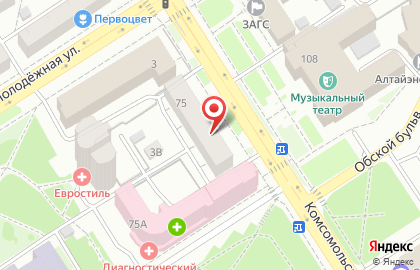Меховое ателье Вьюга на Комсомольском проспекте на карте