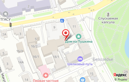 Многопрофильная фирма Мастер Клининг на улице Пушкина на карте