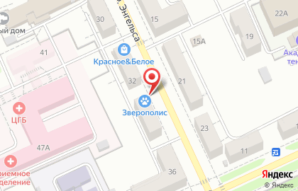 Ветеринарная клиника Зверополис на улице Энгельса на карте