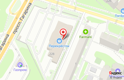 Магазин Читайна на проспекте Гагарина, 228 на карте