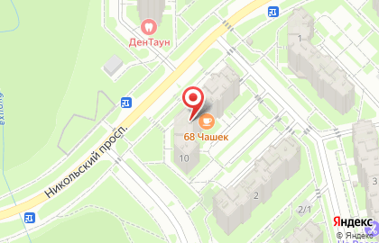 Аптека Тонус на Никольском проспекте на карте