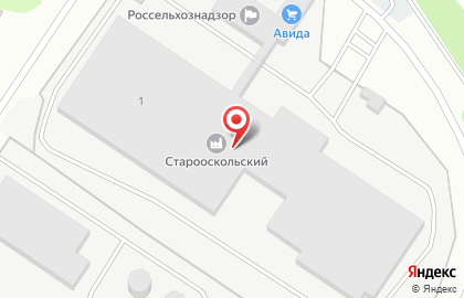 Молочный комбинат Авида в Старом Осколе на карте