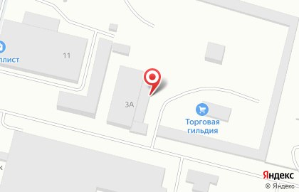ООО Торговая гильдия на карте
