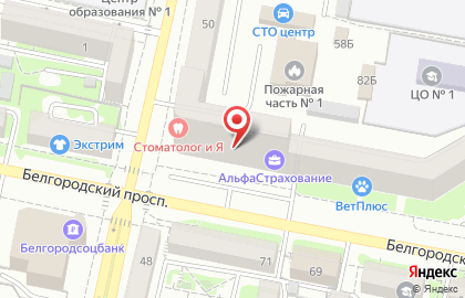 Медикал Он Груп-Белгород на карте
