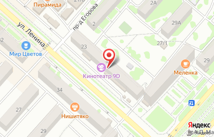 Продуктовый магазин Лоза на улице Ленина на карте
