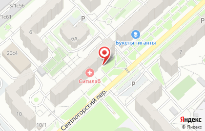 Производственная компания Грундфос в Светлогорском переулке на карте