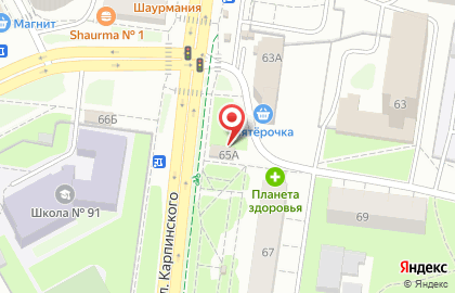 Магазин цветов FLORA SERVICE на улице Карпинского, 67/1 на карте