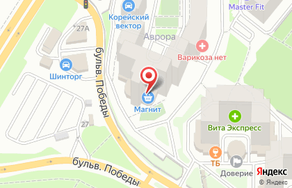 Магазин для мастеров бьюти-индустрии SiNail на Ленинском проспекте на карте