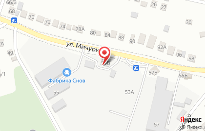 Пансионат для пожилых людей Добро на улице Мичурина на карте