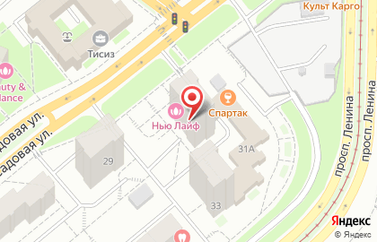 Клиника красоты и здоровья Нью Лайф на Ново-Садовой улице на карте