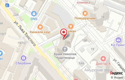 Tortuga на улице Льва Толстого на карте