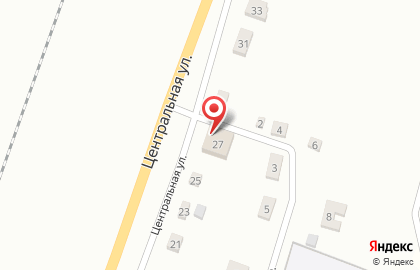 Продуктовый магазин на Центральной улице на карте