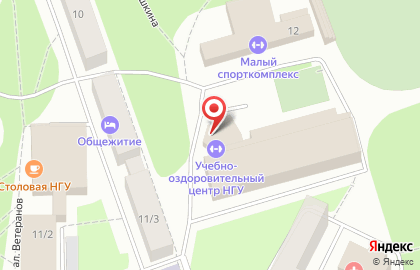 НГУ Учебно-спортивный оздоровительный центр на улице Пирогова на карте
