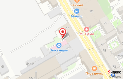 Ветеринарная станция Василеостровского, Выборгского, Калининского, Петроградского районов на карте