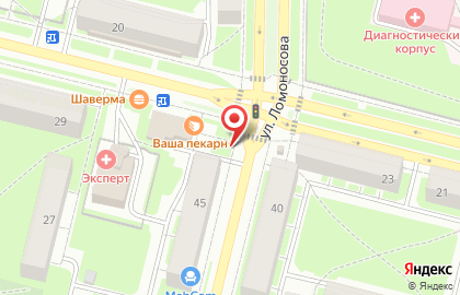 Киоск хлебобулочных изделий на улице Ломоносова на карте