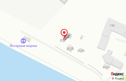 Клуб Янтарные моржи на карте