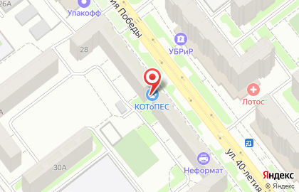 Ветеринарная клиника Котопёс на улице 40-летия Победы на карте