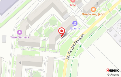 Академия ЗОО на улице Петра Ломако на карте