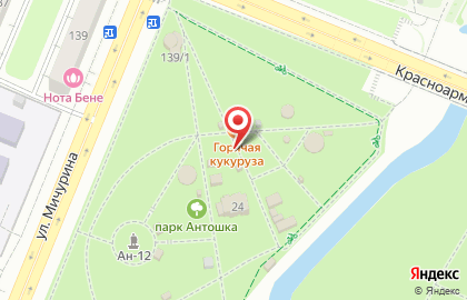 33 пингвина на улице Мичурина на карте