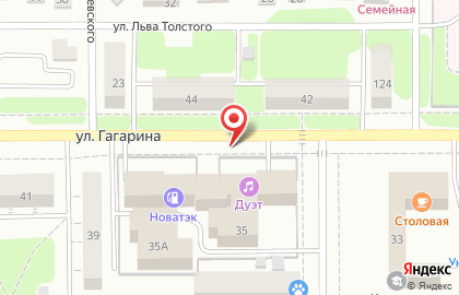 Дуэт на улице Гагарина на карте