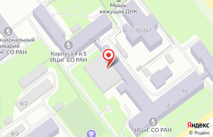 ЭМБИ, ООО Экспериментальные модели для биологических испытаний на карте