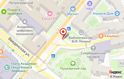 Айболит СПб на карте